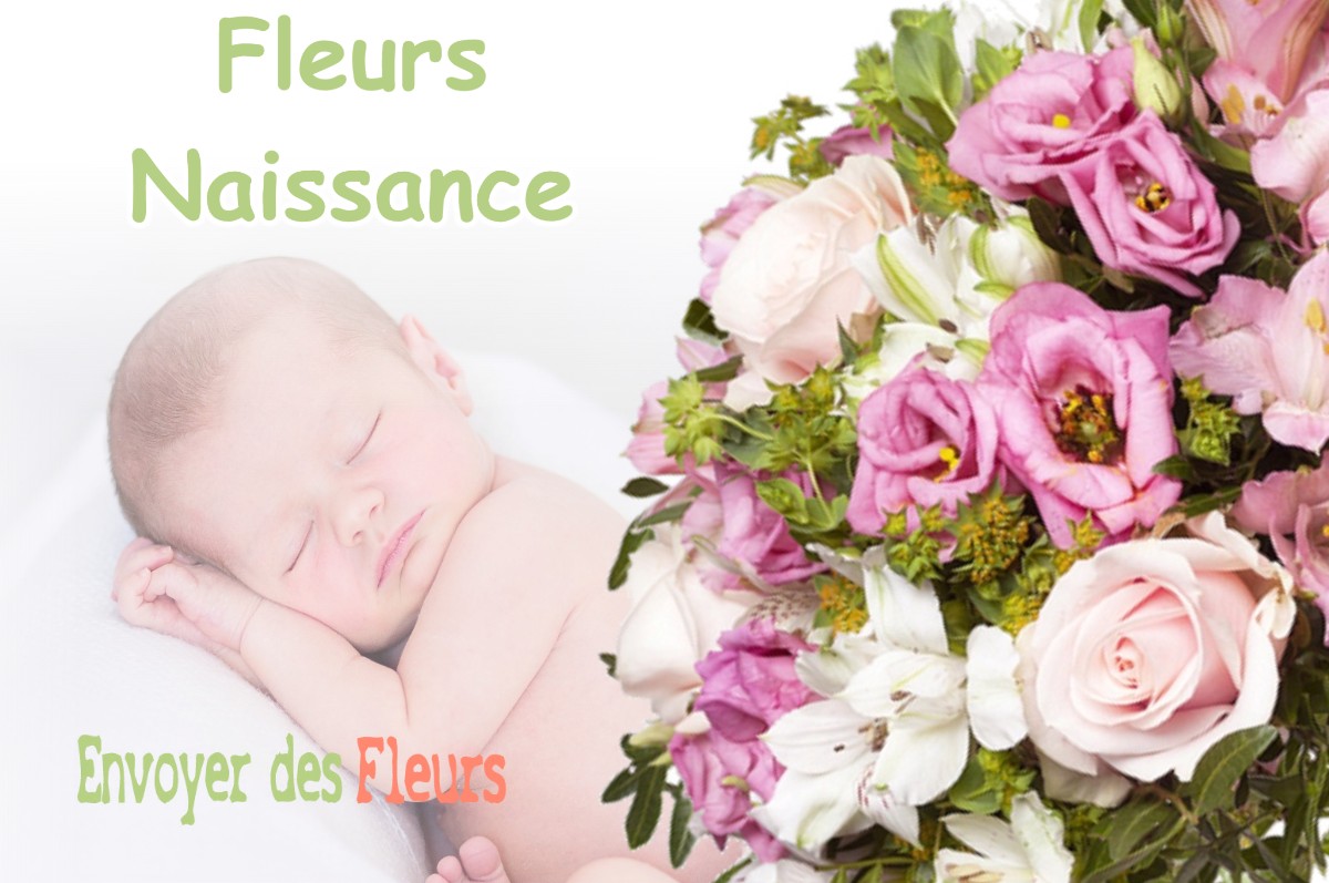 lIVRAISON FLEURS NAISSANCE à GAREIN